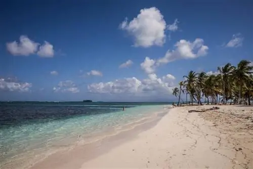 Карибский пляж