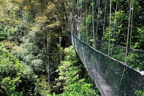 Мост в Таман Негара