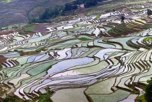 Террасы Юньнани, Китай