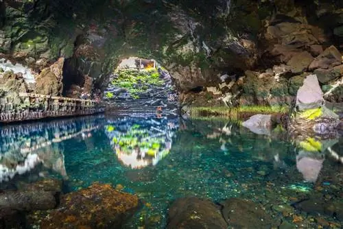 Крабовая лагуна