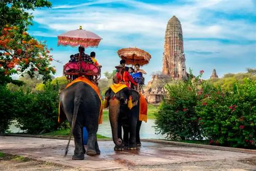 Слон – национальный символ Таиланда