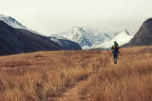 путешественник