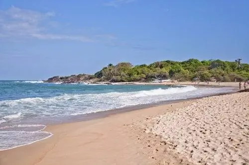 Тропический пляж в Ресифи