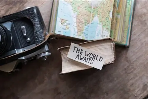 Книга и фотоаппарат, представляющие фильмы о путешествиях