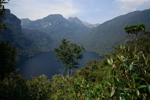 Лагуна Кондорс