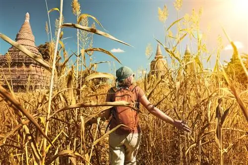 Путешественник по Камбодже