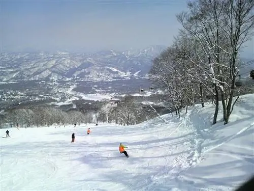Лыжники в Японии