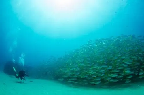 Воды острова Кокос