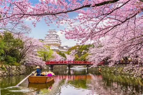 Япония как пара: ее самые романтические уголки