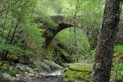 Сьерра-де-Франс