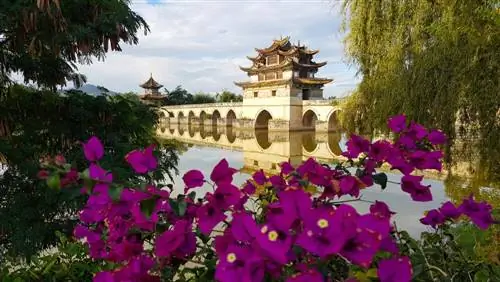 6 сказочных мостов, которые стоит знать