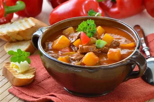Гуляш, типичный для чешской гастрономии