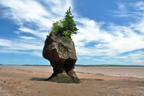 Бэй Фанди