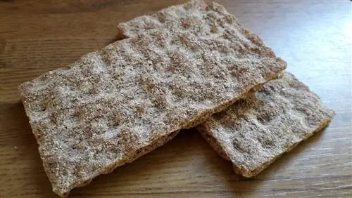 Типичный хлеб шведской кухни