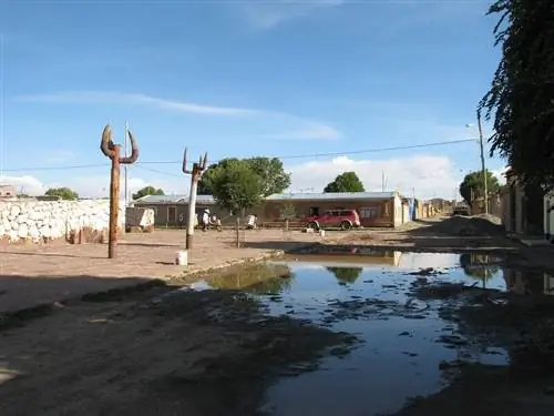 Калпина К. Стрит