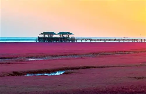 Вид на закат