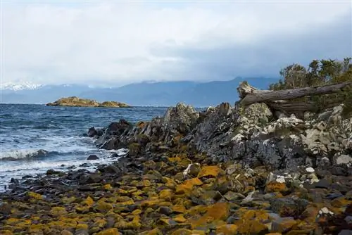 Побережье острова Наваринос