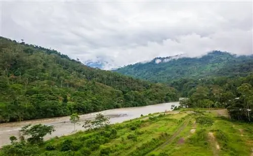 Джунгли в Мороне Сантьяго