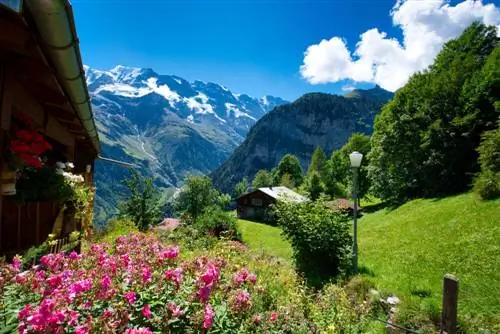 Гиммельвальд: очаровательный город в Швейцарии