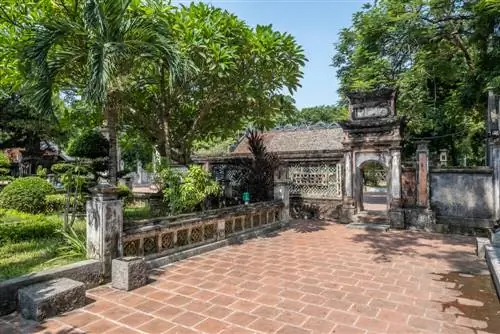 Экскурсия по Хоа Лу, древней столице Вьетнама.