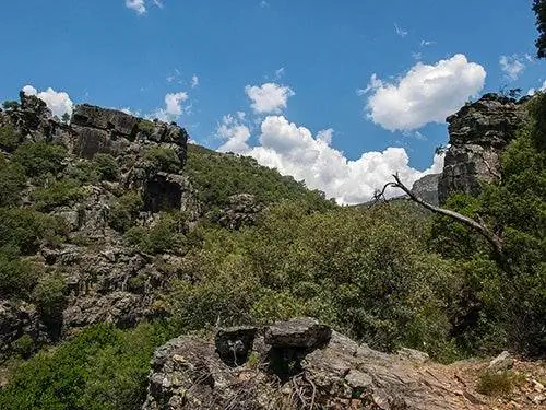 Сьерра-де-Франс