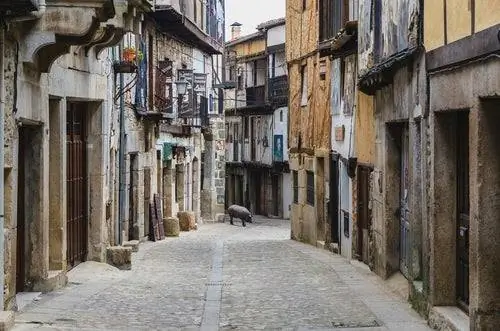 Свинья Сан-Антон в Могаррасе