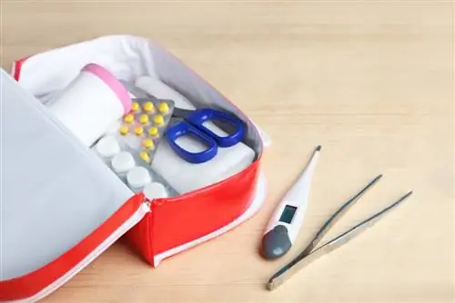 Термометр - еще один предмет, который должен быть в каждой аптечке.