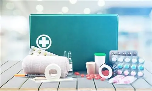 Лекарства, входящие в дорожный набор.