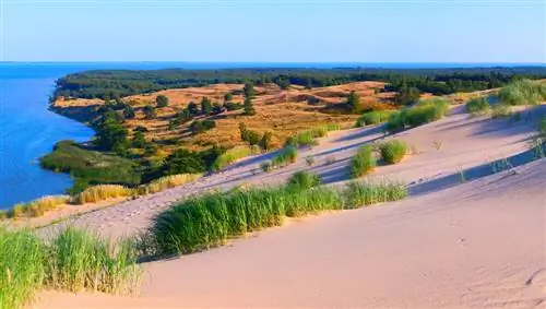 Куршская коса: дюна Парнидис и другие сокровища