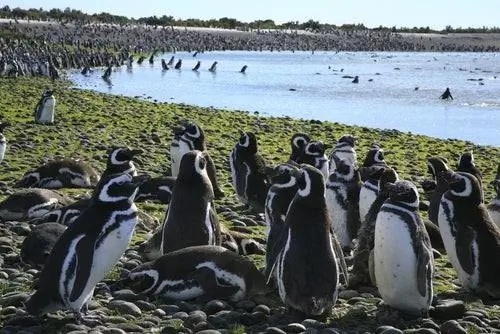 Томбо Пойнт