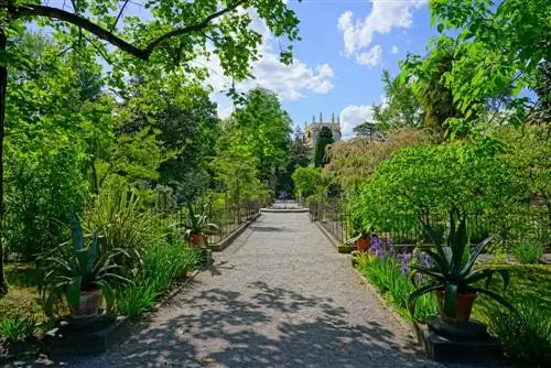 Падуанский ботанический сад