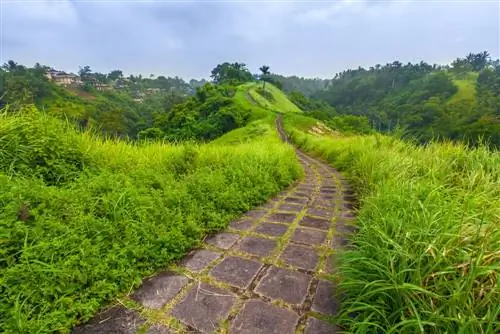 Прогулка по хребту Кампухан в Убуде