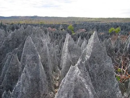Пиннаклс в Цинги