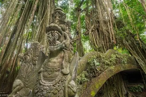 Обезьяний лес в Убуде