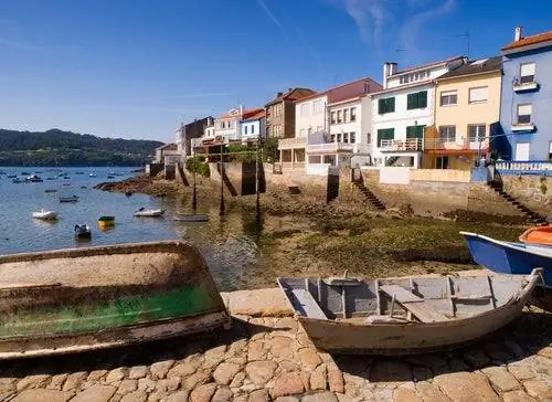 Сети, киногород