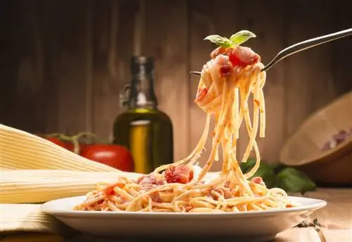 Путешествуйте со своим вкусом: 5 рецептов итальянской пасты