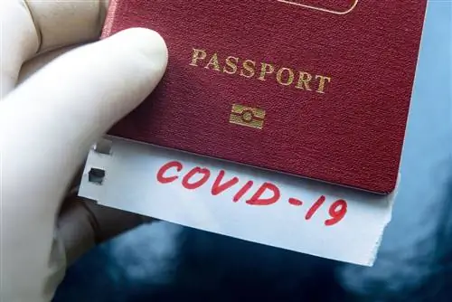 Паспорт с отметкой о COVID-19.