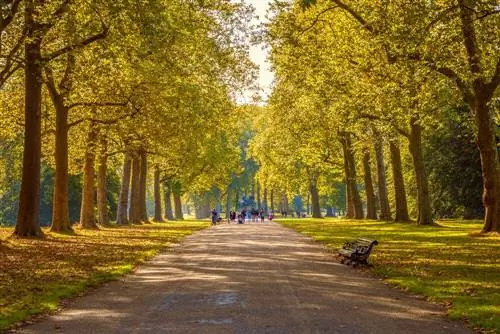 Осенний вид в Гайд-парке, Лондон.