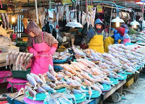 Рынок Джагальчи, лучшие морепродукты