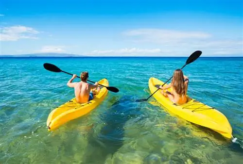 Пара занимается водными видами спорта на Мальдивах
