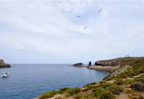 Побережье островов Колумбретис, провинция Кастильон.