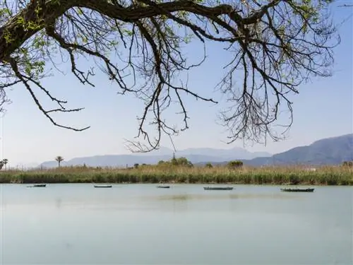 Рыбаки на озере Эстани-де-Кульера в Валенсии.