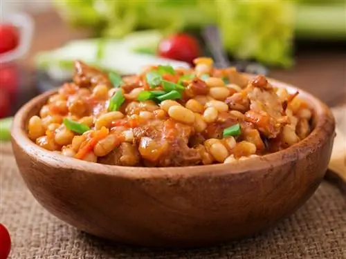 Тавце Гравце сочетает в себе белую фасоль с мясом ягненка.