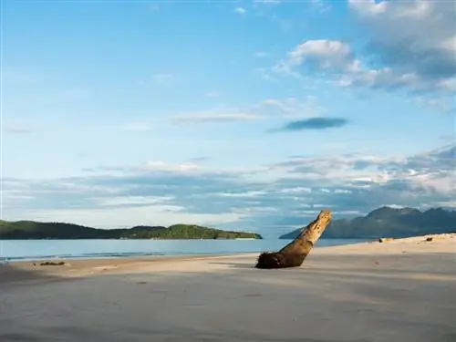 Пляж Тенга, Лангкави.