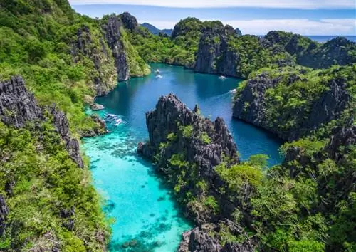 В Эль-Нидо на Филиппинах обитает великолепная морская фауна.