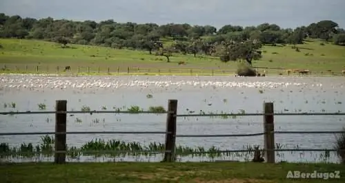 Деэса де Абахо
