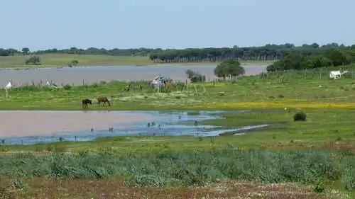 Природный заповедник Деэса-де-Абахо, рай в Андалусии