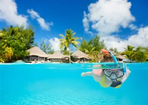 Дайвинг на Бора-Бора: великолепные впечатления