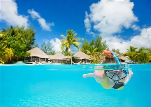 Дайвинг на Бора-Бора: великолепные впечатления