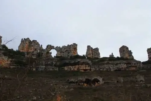 Поцелуй верблюдов